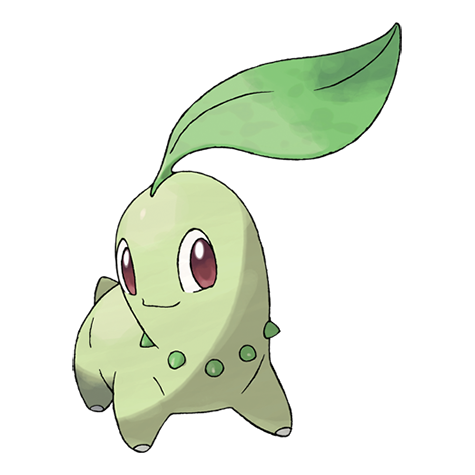 Khám Phá Chi Tiết Về Pokemon Chikorita