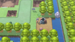 The Hallowed Tower trong thế giới Pokemon