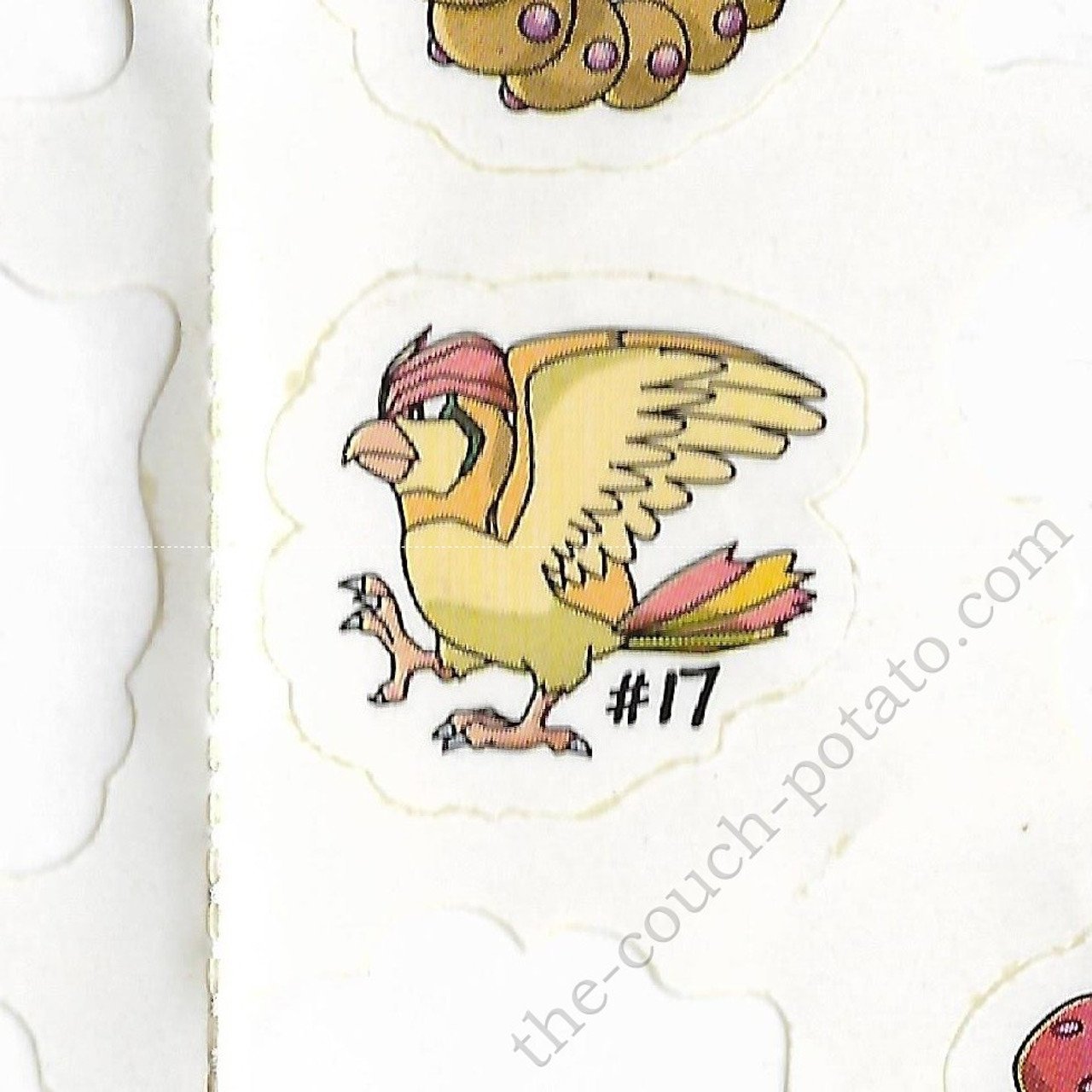Pidgeot: Thông Tin Chi Tiết về Pokemon Chim Khổng Lồ