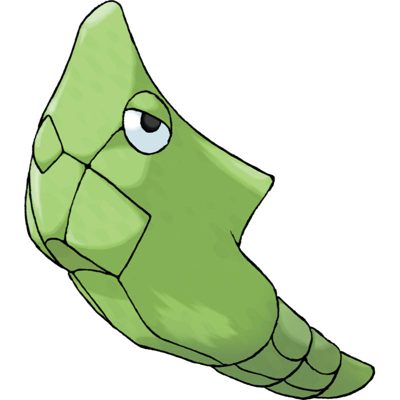 Metapod Pokemon: Đặc Điểm, Năng Lực Và Tiến Hóa