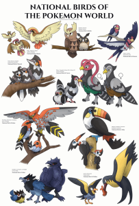 Rufflet: Thông Tin Chi Tiết Về Pokémon Chim Ưng Con