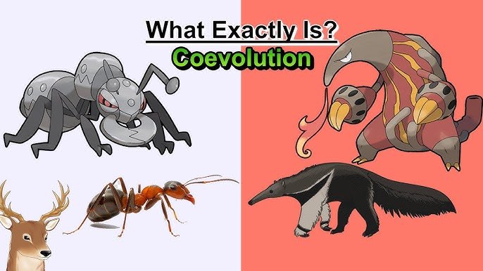 hq720-83 Sự thật về Durant Pokémon evolution