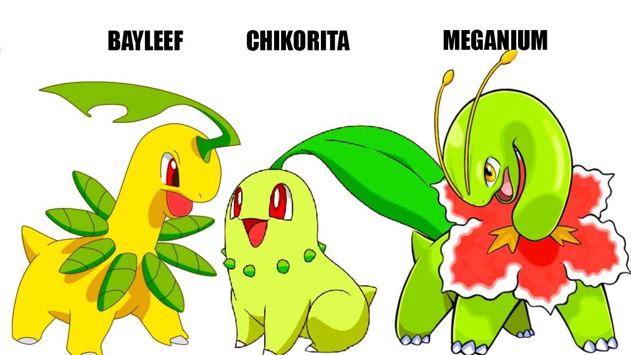 Chikorita Tiến Hóa Thành Gì? Cấp Độ Nào?