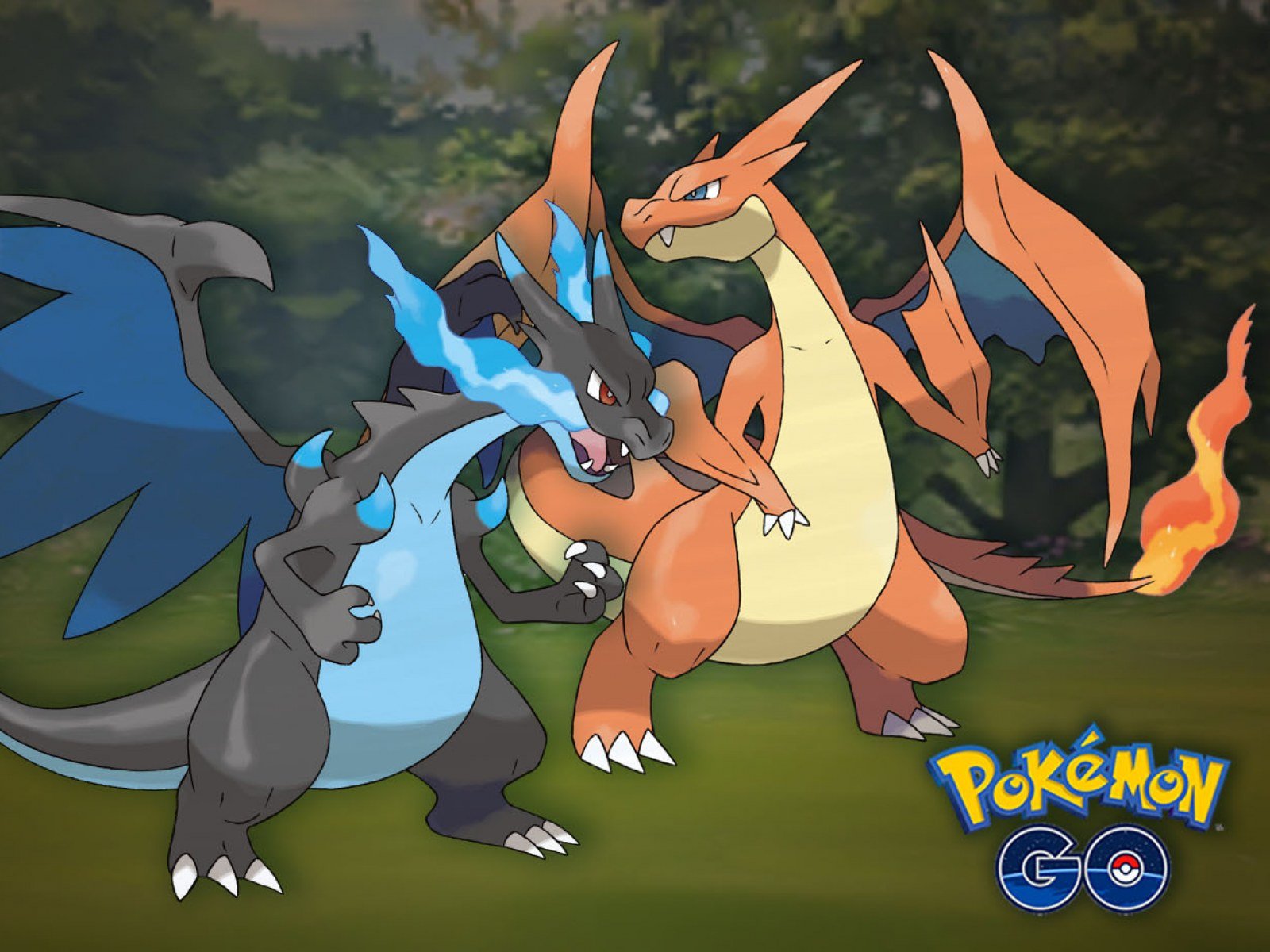Tìm hiểu chi tiết về Mega Charizard Y