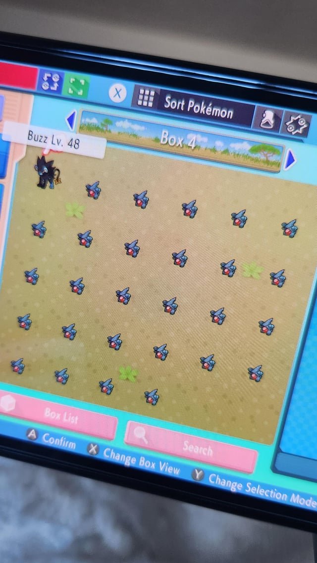 Gible Pokemon: Thông tin chi tiết về chú Rồng đất