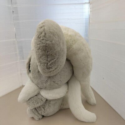 Chirachino: Thông Tin Chi Tiết Về Pokémon Sang Chảnh