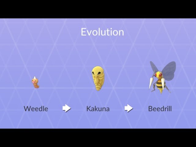 Kakuna Evolution: Quá trình Tiến Hóa và Sức Mạnh