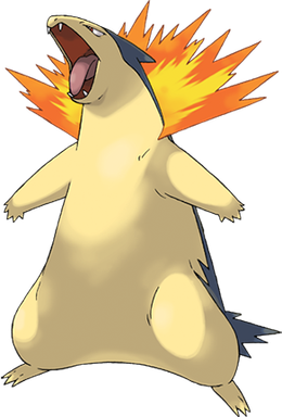 Thông Tin Chi Tiết Về Typhlosion