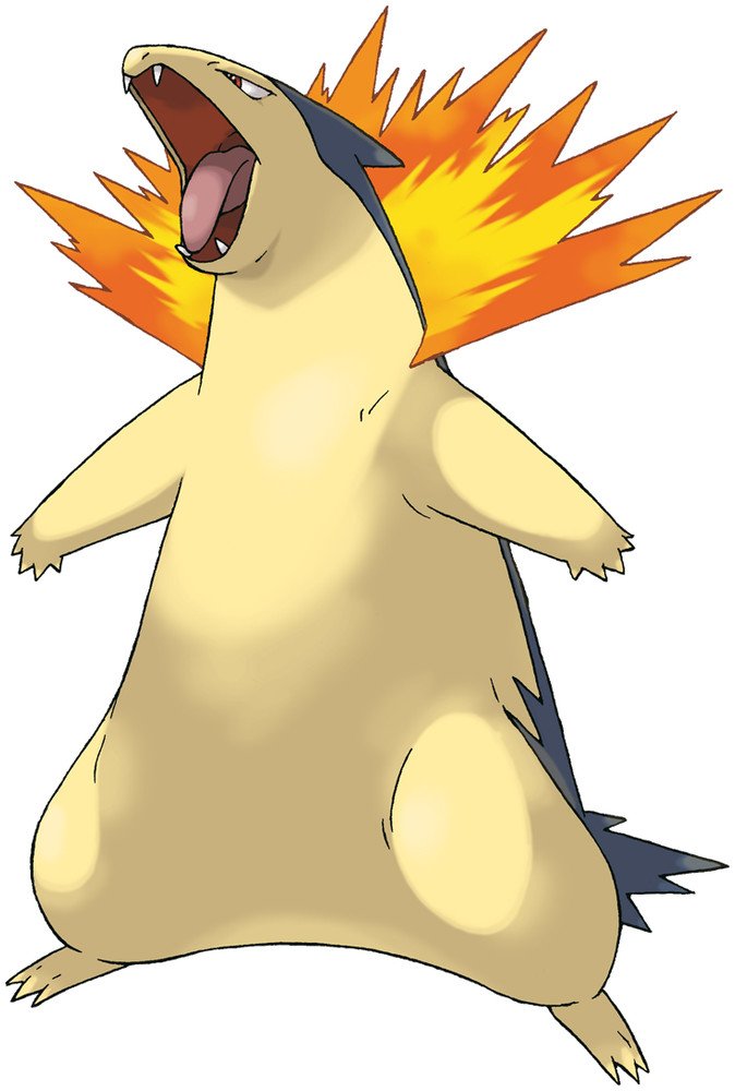 Thông Tin Chi Tiết Về Typhlosion