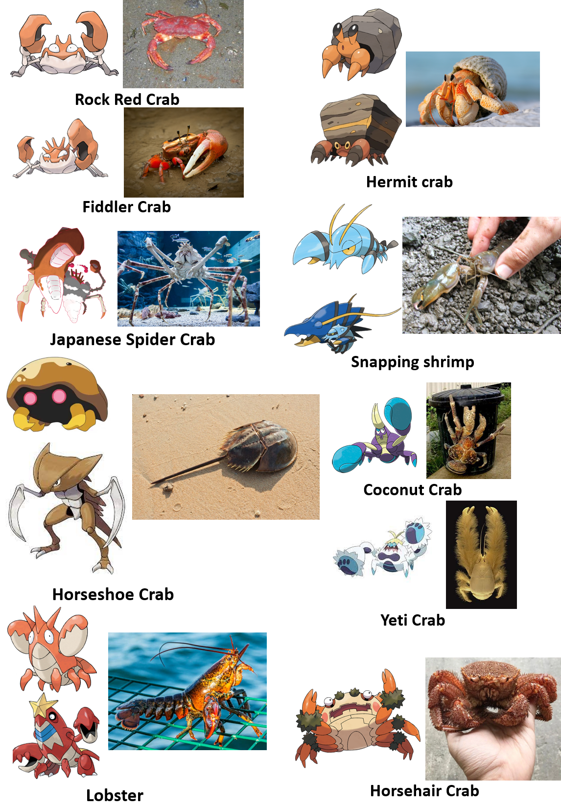 Các Crab Pokemon: Khám Phá Những Sinh Vật Giáp Xác Đáng Yêu