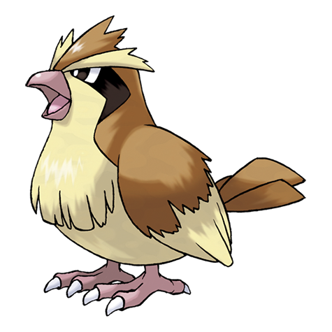 Tổng Quan Chi Tiết Về Pokemon Pidgey