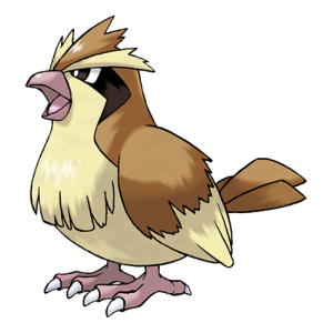 Tổng Quan Chi Tiết Về Pokemon Pidgey