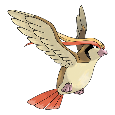 018-1 Pidgeot: Thông tin chi tiết về Pokemon Chim Lớn