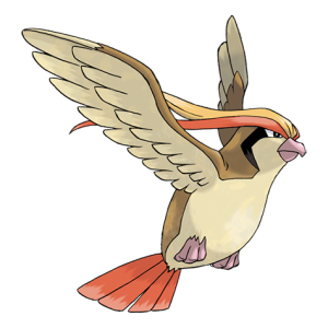 Pidgeot: Thông tin chi tiết về Pokemon Chim Lớn