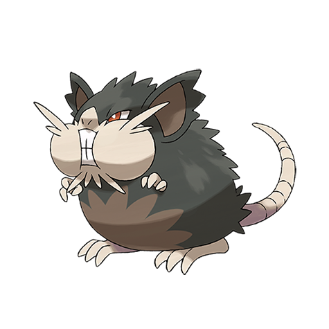 Raticate: Thông tin chi tiết về Pokémon Chuột Lớn