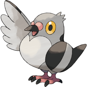 Pidove: Khám phá Chi tiết về Chim Bồ Câu Pokemon