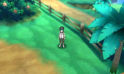 Khám Phá Các Route Trong Pokémon Sun