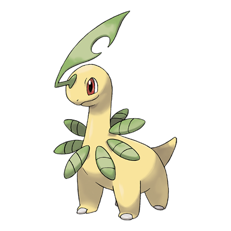 Bayleef Pokemon: Thông tin chi tiết về Chikorita tiến hóa