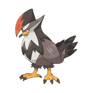 Starly: Thông tin chi tiết về Pokémon Hệ Chim