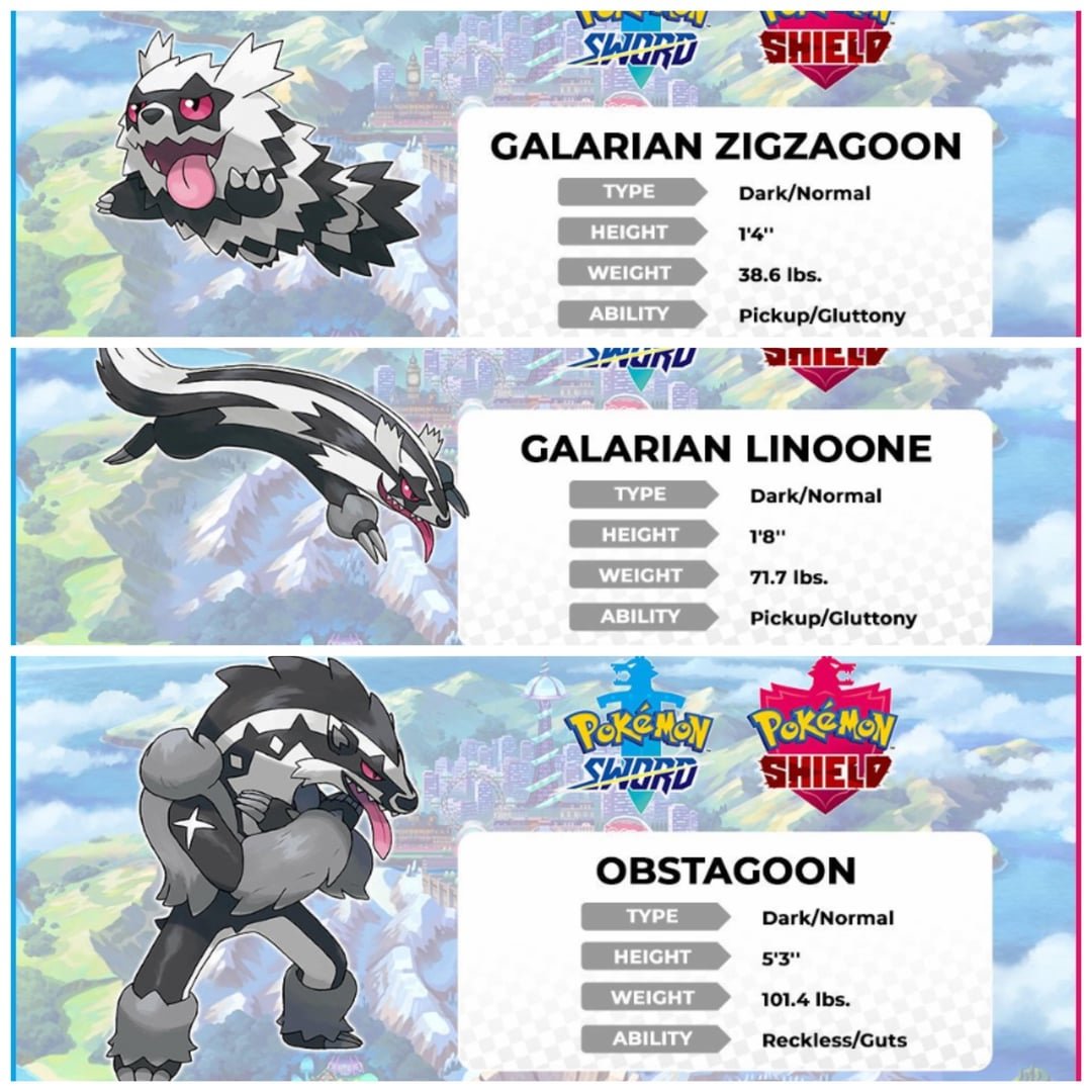 Zigzagoon: Đặc Điểm, Kỹ Năng Và Tiến Hóa Đầy Đủ