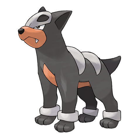Tìm hiểu chi tiết về Pokemon Houndour