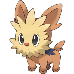 Thông Tin Chi Tiết Về Pokémon Lillipup
