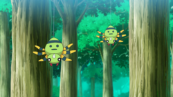 Tìm hiểu chi tiết về Pokémon Spinarak