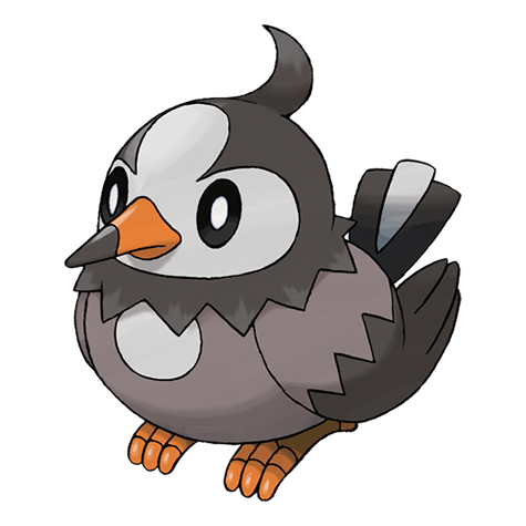 Thông tin chi tiết về Pokemon Starly