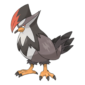 Thông tin chi tiết về Staraptor