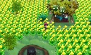 Khám Phá Pokemon Village XY: Ngôi Làng Bí Ẩn Dành Cho Pokemon Hoang Dã
