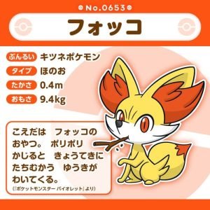 Khám phá chi tiết về Pokemon Fokko