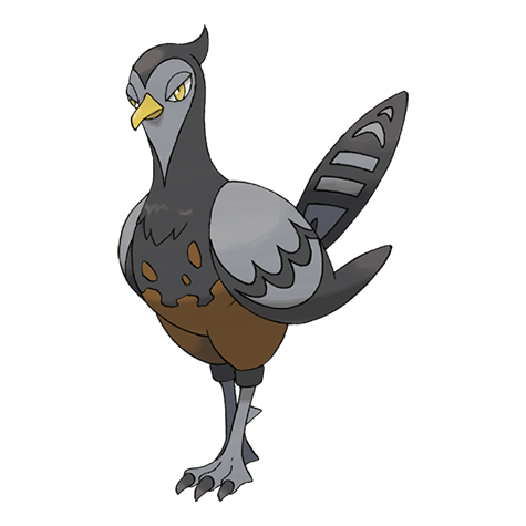 Khám phá chi tiết về Unfezant trong thế giới Pokemon