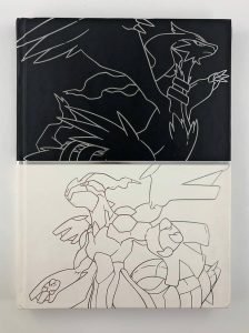 Khám phá Chi Tiết Loạt Phim Pokemon Black and White