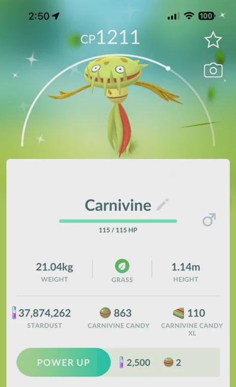 Thông tin chi tiết về Carnivine