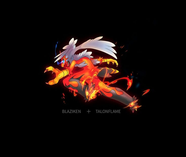 Talonflame Mega: Thực hư về dạng tiến hóa tiềm năng