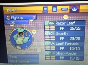 Pokemon Bulu: Thông tin chi tiết về loài tiên