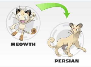 Meowth evolution chart: Tất cả các dạng và cách tiến hóa