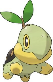 Pokemon Turtwig: Chi Tiết Về Chuẩn Khởi Đầu Hệ Cỏ