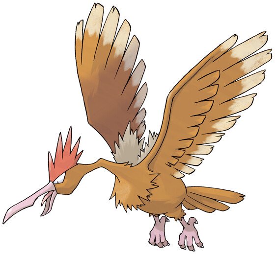 Thông tin chi tiết về Fearow Pokemon