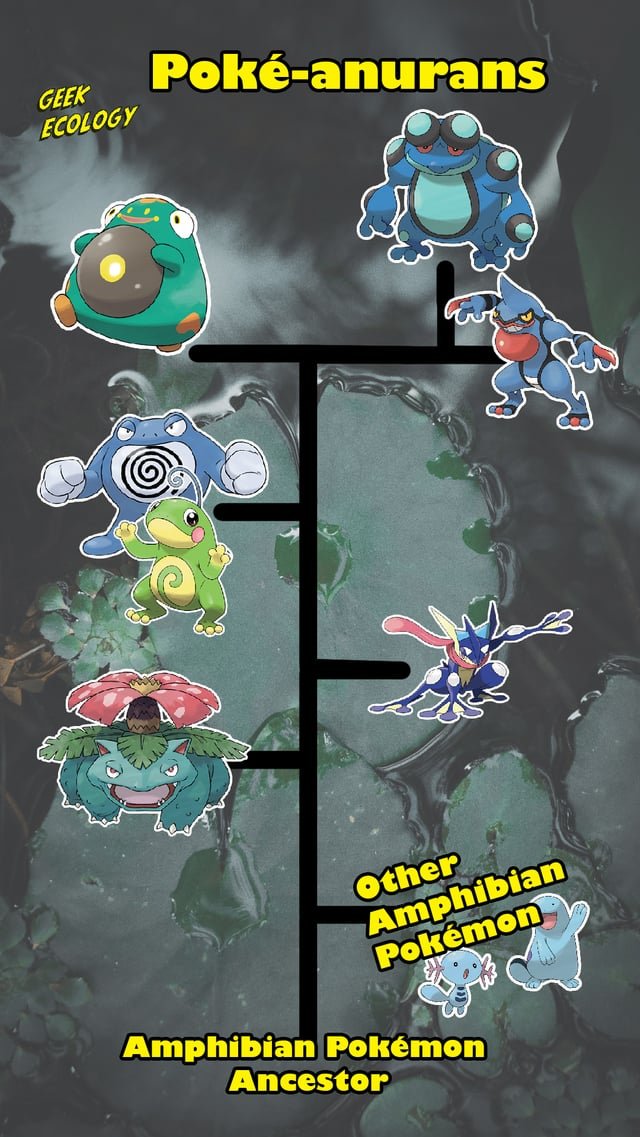 Tổng hợp và khám phá các Pokemon Ếch đáng chú ý