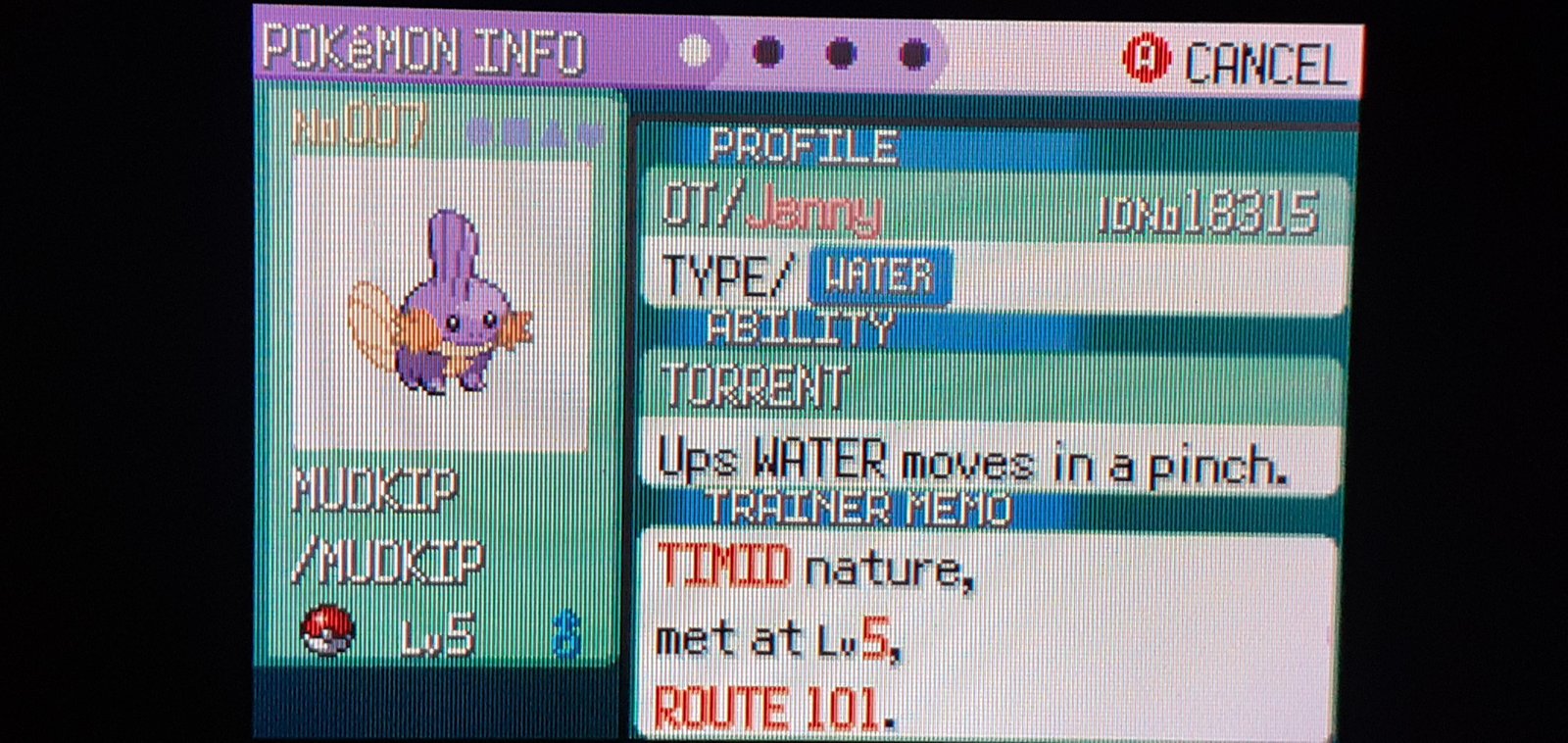 Mudkip: Tất tần tật về Pokémon Gen 3 đáng yêu