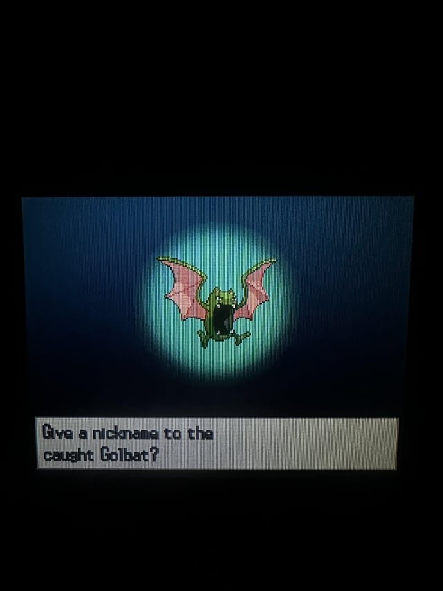 gen5-first-ever-playthrough-of-pokemon-black-random-v0-k4ihikmz16ld1 Zubat: Khám Phá Chi Tiết Về Loài Pokemon Hang Động Nổi Tiếng