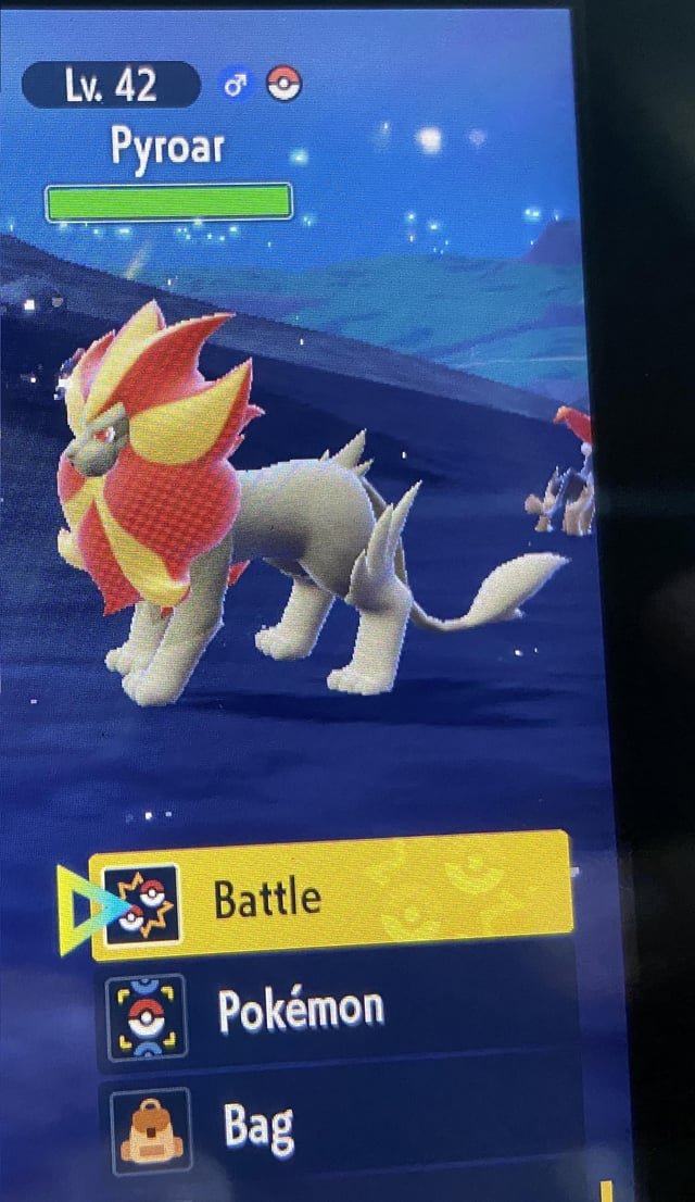 gen9-was-expecting-to-find-a-shiny-male-litleo-but-the-male-v0-vooy74ka3tua1 Pyroar: Thông tin chi tiết về Sư Tử Lửa Pokemon