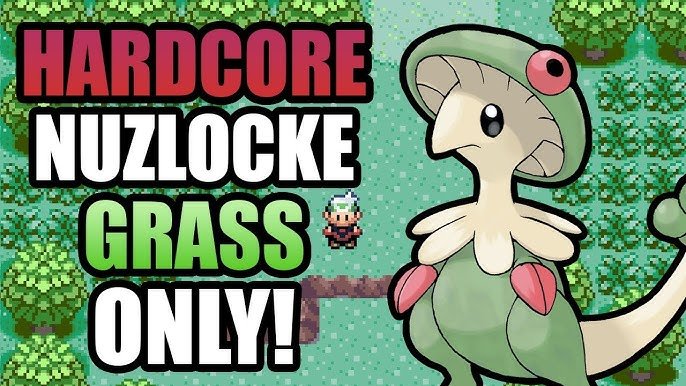 Pokemon Shroomish: Thông Tin Chi Tiết Về Nấm Hệ Cỏ