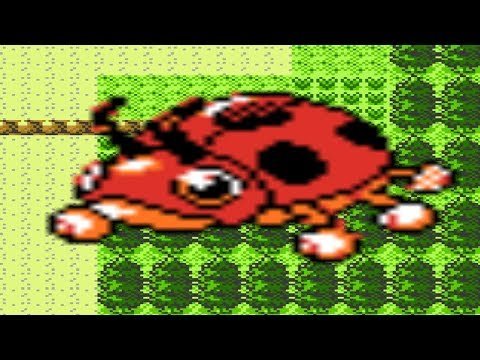 hqdefault-21-1 Ledyba Pokémon Crystal: Thông tin Chi Tiết Từ A-Z