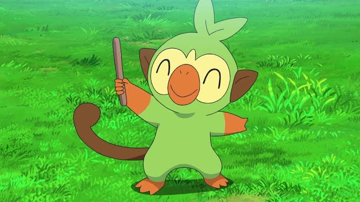 hz34840ynoy81 Grookey: Khám Phá Chi Tiết Khởi Đầu Hệ Cỏ Vùng Galar
