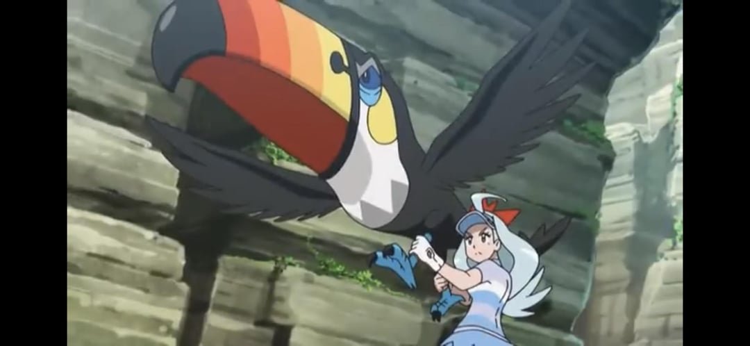 i-always-thought-toucannon-was-the-most-boring-regional-v0-o98z9c7s3jjb1-1 Tìm hiểu chi tiết về Toucannon – Pokemon Mỏ Súng
