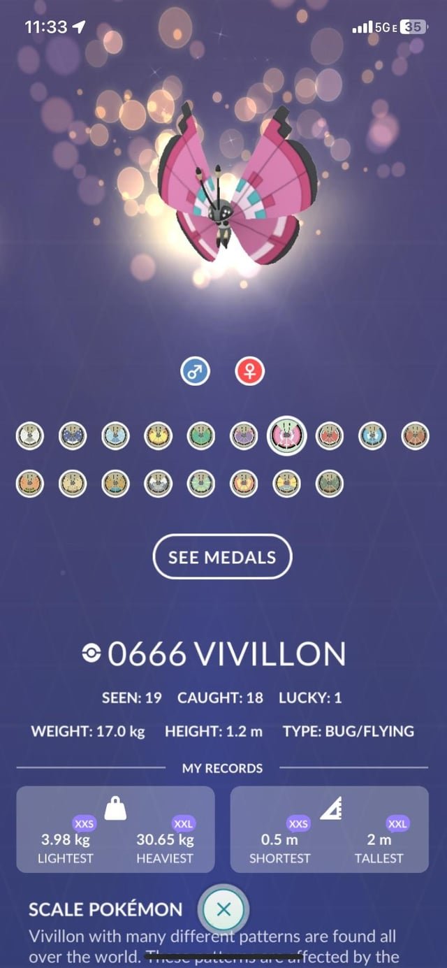 i-evolved-every-vivillon-and-put-them-all-to-work-v0-ioksjrotg95e1-1 Vivillon: Đặc Điểm, Biến Thể Và Cách Sở Hữu