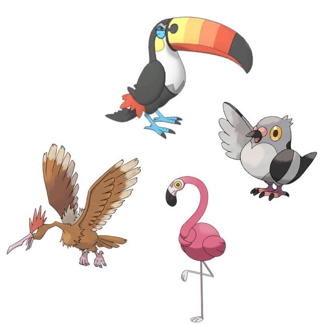 Starly: Thông tin chi tiết về Pokémon Hệ Chim