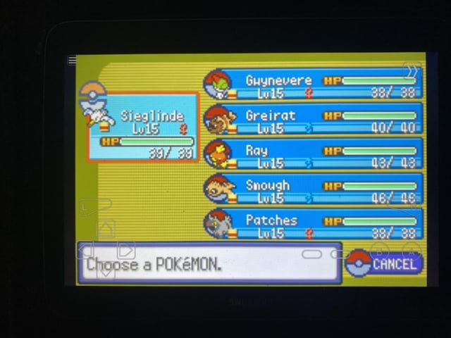 Wingull Evolution: Tiến Hóa Thành Pelipper